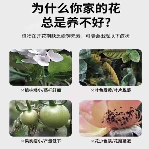 Urea Fertilizer Agricultural Nitrogen Fertilizer Chemical Fertilizer Compound Fertilizer for Vegetables General Flower Fertilizer for Planting Flowers and Fruit Trees Potted Plants Genuine Weihe Medium and Small Granular Urea Contains 46% Nitrogen 0.5kg Trial