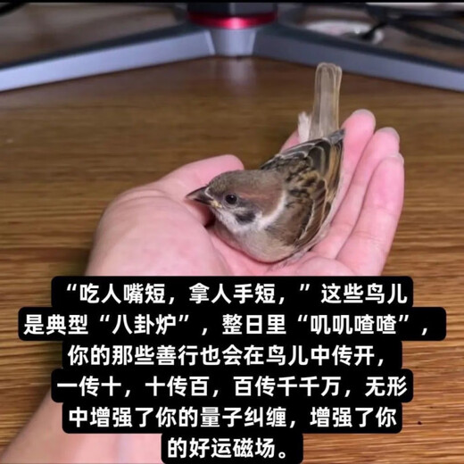 Donating bird food, small bird food, pigeons, outdoor bird food, donating sparrows and doves, outdoor feeding bird food, double the blessings, fine mixed merit food) eminent monk, thick merit, seven generations of merit, 10 Jin Jin is equal to 0.5 kg, package