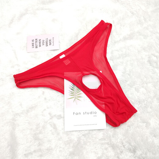 Universal Ice Silk Underwear Men's Seamless Summer Thin Men's Fully Transparent Briefs Cool Hole Hollow Low-Waist Thong White One Size Elastic Waist 1.9-2.8 Feet