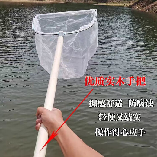 Ultra-dense eye 100 mesh wooden handle stainless steel fishing net copy fish net pocket fish net set fish excrement fishing gear fish pond cleaning 50 cm handle square head single frame