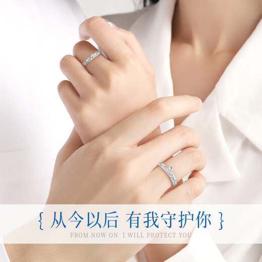 GLTEN Little Prince and Rose Luminous Couple Ring Silver Ring Couple Light Luxurious Birthday Gift for Girlfriend and Wife