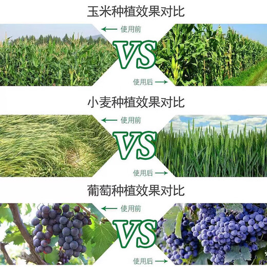 Brassinolide Yuntaixin Preserves flowers and fruit trees, cucumbers, citrus, and fruit-drop prevention plants. Brassinolide growth regulator 500g *20 bottles, whole box