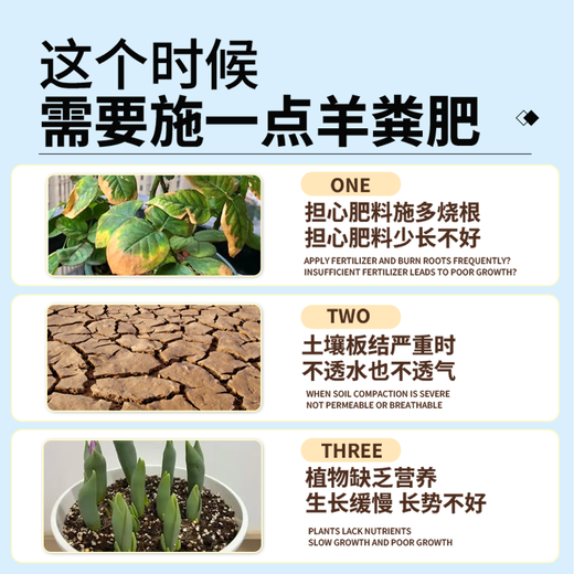 Pure sheep manure fermented organic fertilizer 10 Jin Jin is equal to 0.5 kg. General purpose fertilizer for vegetable garden, flower and fruit tree farming and household fertilizer. Inner Mongolia fermented pure sheep manure fertilizer 10 Jin Jin is equal to 0.5 kg.
