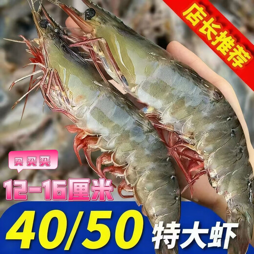 Jiang Qigong Fresh Sea-caught Extra Large White Shrimp Ecuadorian White Shrimp Frozen seafood kept fresh with ice Four Jin Jin is equal to 0.5 kg, packed Four Jin Jin is equal to 0.5 kg, packed large white shrimp 12-16 cm