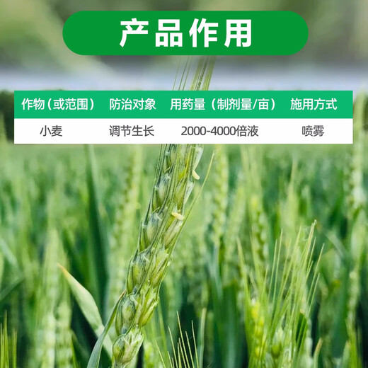 28 table high brassinolide plant growth regulator to protect flowers and fruit trees Yuntai lactone foliar fertilizer pesticide 500g*1 bottle