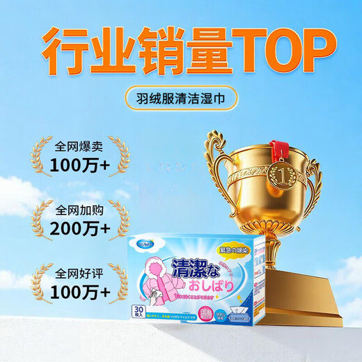 ZYVI Japan Down Jacket Cleaning Wipes Wash-Free Strong Decontamination Cleaning Clothes Special Dry Cleaning Wet Wipes 30 pieces 1 box trial pack