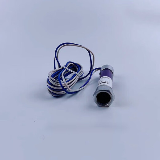 火焰探测器c7027a1049燃烧机霍尼韦尔电眼检c70271023c7035a1064 国产(BC1000+C7027A1049)
