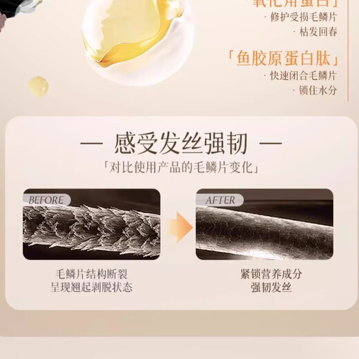 AILUKI Japanese elastin post-perm conditioner elastic curls lasting styling naturally fluffy moisturizing essence anti-frizz rich floral and fruity elastin 500g high-end salon same style