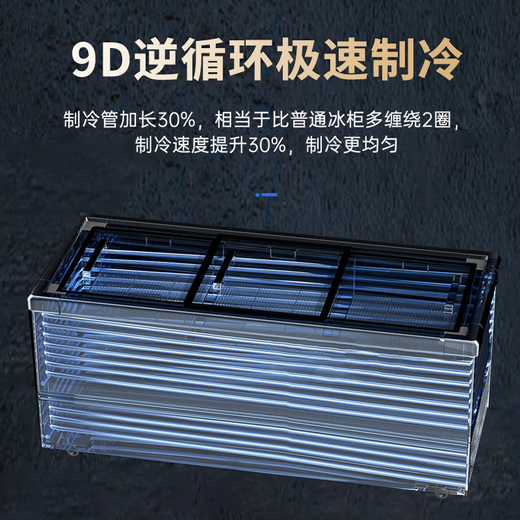 Congélateur flocon de neige Congélateur commercial de grande capacité Réfrigérateur et congélateur horizontal domestique Congélateur à double usage à température unique Congélateur à double température Vitrine de crème glacée Congélateur rapide 1168 Version à affichage ultra numérique à température unique | Efficacité énergétique de première classe | Réduction du gel 95 %