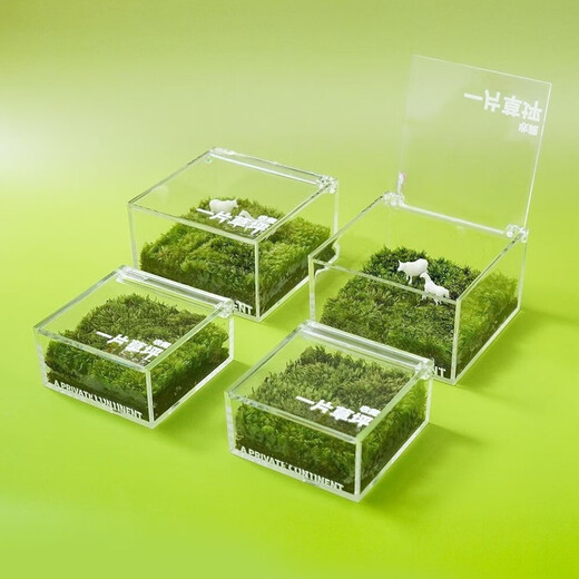 A piece of lawn, mini lawn, moss box, office desktop, green plants and potted plants, creative table, healing micro-landscape, mini private lawn (with fat sheep + watering can + maintenance guide)