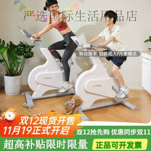 YESOUL YESOUL parent-child dynamic bicycle home sports exercise bike indoor equipment silent smart parent-child bicycle M1K 丨Standard version 丨