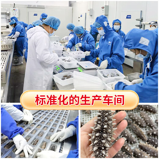 即食底播零添加刺参，固形物80%/滋补500g/8-20头/单装更方便 8-12头/斤 500g不买会亏