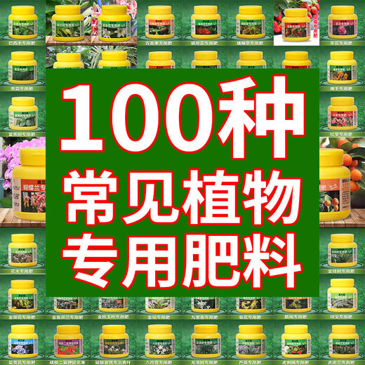 Engrais composé spécial à haute efficacité pour arbres fruitiers en pot azote et phosphore engrais universel au bore granulaire végétal agricole légume engrais biologique pour fleurs Dripping Guanyin engrais spécial 1 bouteille 250g