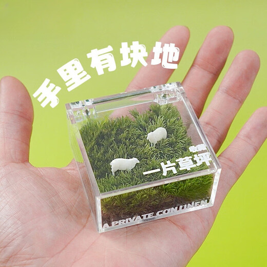 A piece of lawn, mini lawn, moss box, office desktop, green plants and potted plants, creative table, healing micro-landscape, mini private lawn (with fat sheep + watering can + maintenance guide)