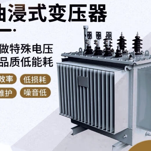 S11 immersed 10 transformer 200 high voltage power high power three phase 630 days delivery dry type s11-30
