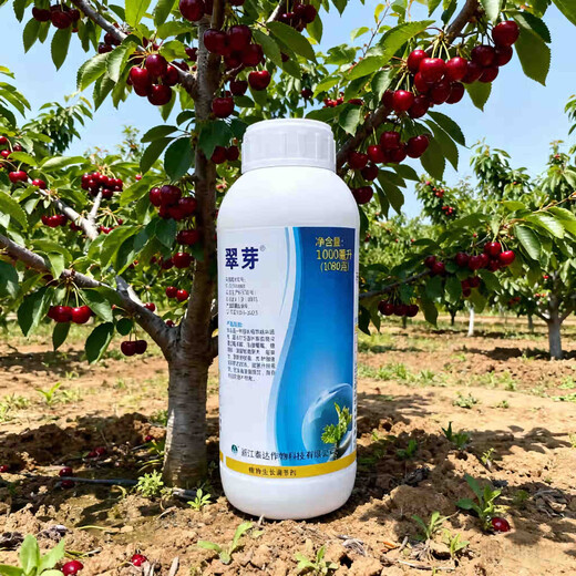 Taihui Li Cuiyang 50% monocyanamide ammonia grape peach and kiwi fruit tree bud-breaking sleep-inducing agent monohydroammonium growth regulator 1000ml*1 bottle Production date September 25 Shelf life 2 years