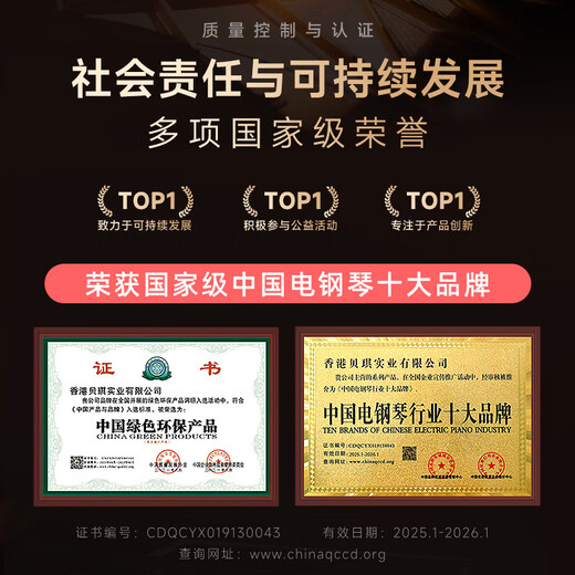 Betsy B351 Electric Piano 88 Keys Heavy Hammer Adult Children Electronic Piano Home Practice Beginner Professional Examination Piano B351-Gravity 88 Keys Wood Grain Black