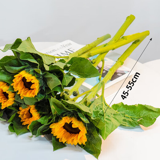Sunflower Birthday Gift Fresh Cut Flowers Yunnan Base Straight Delivery Fresh Sunflower Flowers Graduation Bouquet 10 Sunflowers Medium Large Flowers Medium Large Flowers Sunflowers