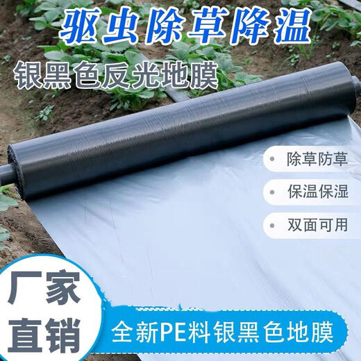 Silver and black two-color mulch film, thickened waterproof white film and black film, reflective mulch film covering weeding and moisturizing plastic film for agricultural use 10Jin Jin equals 0.5 kg 1.2 silk silver and black mulch film 0.6 meters wide