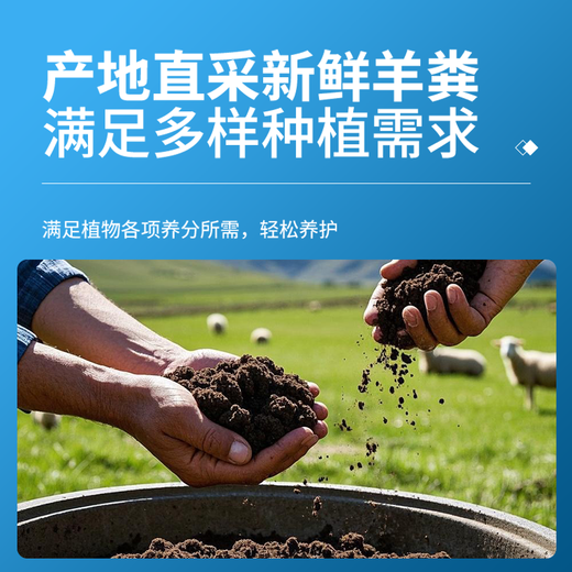 Pure sheep manure fermented organic fertilizer 10 Jin Jin is equal to 0.5 kg. General purpose fertilizer for vegetable garden, flower and fruit tree farming and household fertilizer. Inner Mongolia fermented pure sheep manure fertilizer 10 Jin Jin is equal to 0.5 kg.