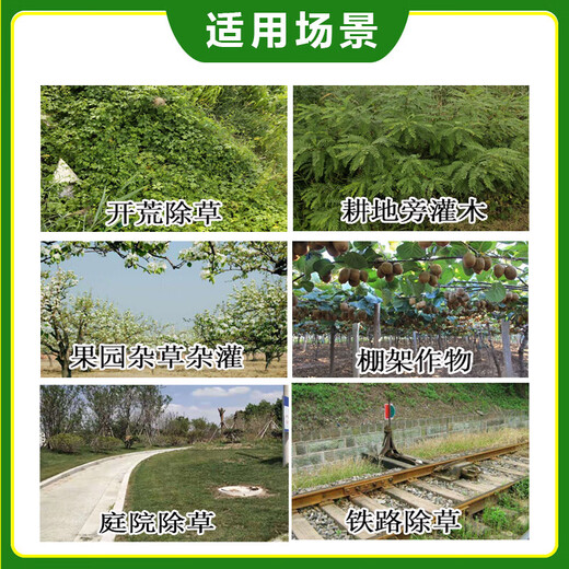 Powerful herbicide, rotten root and dead root herbicide, weed removal and wasteland orchard special herbicide, glyphosate wholesale, genuine glyphosate, 1 large barrel of 5kg