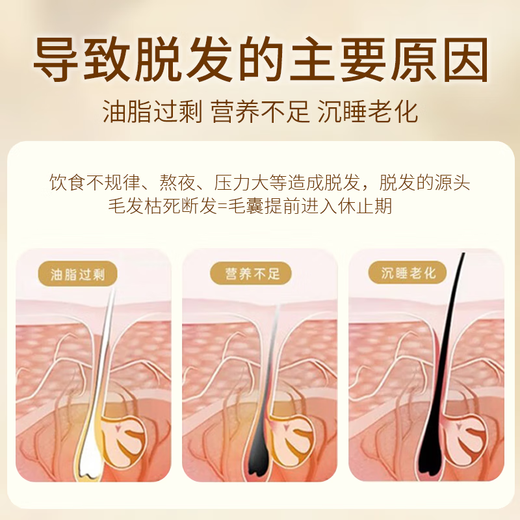 Tongrentang Anti-Deletion Shampoo Ginger Increase Hair Oil Control Fluffy Long Hair Heshou Polygonum multiflorum Ginger Wang Gu Hai 500g+8g