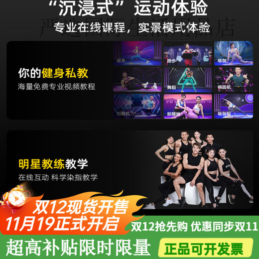 Yingerjian Spinning Bike Fitness Home Model Small Indoor Sports Bike Running Fitness Equipment Standard Model-White Bold Body Frame-Mobile