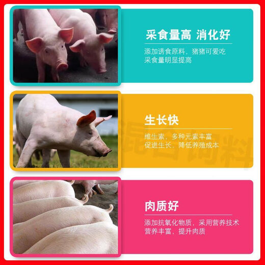 Zhengda pig premix 8% small pigs, medium pigs, large pigs, fattening pigs, gilts, imported fish meal 8% (small) pig premix 40Jin Jin equal to 0.5kg bag