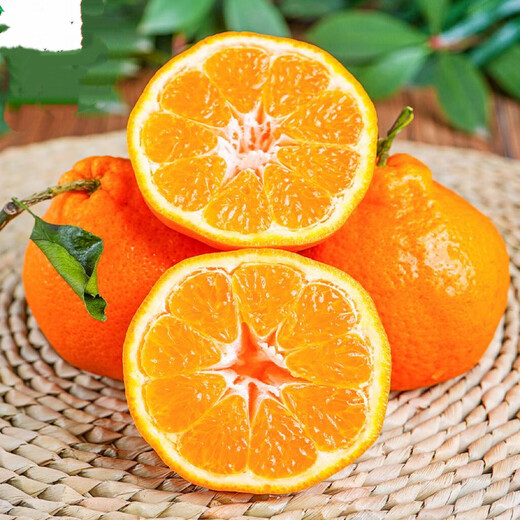 酸甜云南新鲜青橘孕妇青皮当季无籽橘子桔子薄皮水果多汁一整箱 带箱1斤50-60mm