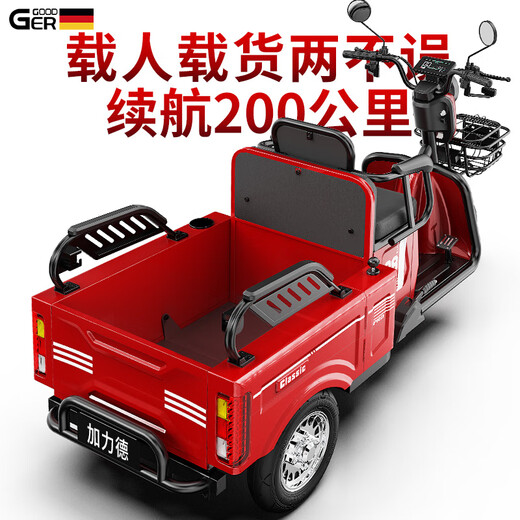 Galide high-power electric tricycle with shed for household use, small scooter for the elderly, mountain hauling, long-range electric tricycle, 48V600W naked bike (battery charger not included)