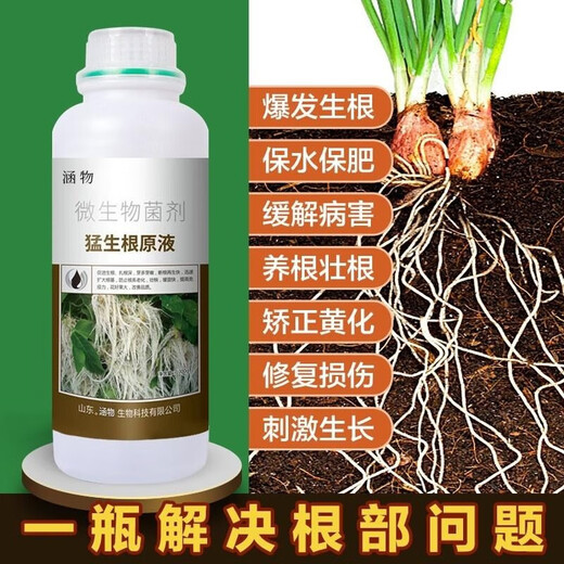 Mengshenggen stock solution, powerful rooting and seedling transplanting, fruit, vegetable, flower and green plant root-promoting microbial root-strengthening fertilizer. Mengshenggen stock solution 500g*1 bottle