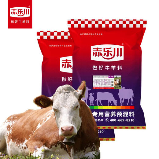 Chilechuan 5-mother Duokang basic empty pregnant breeding cow mother uses premixed feed and trace elements for breeding. 2 pieces need to be picked up when shipped to the county.