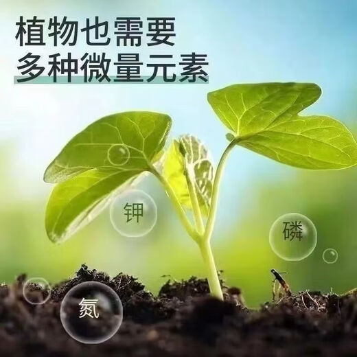 National standard phosphorus compound fertilizer for vegetables and fruit trees, general purpose for rice, wheat and corn, special fertilizer small bag, limited time promotion, high efficiency 100Jin Jin equal to 0.5kg/two bags, express delivery compound fertilizer