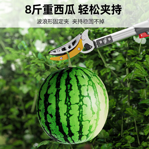 DELIXI ELECTRIC Fruit Picking Artifact Pruning Shears Telescopic High Branch Shears High Altitude Fruit Picking Extended Picker High Altitude Fruit Picking Manual Farm Tools 1.2-2.2 Meters/Thickened 2 Sections Telescopic + 3 Piece Set