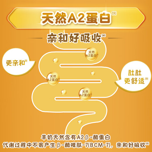 佳贝艾特（Kabrita）向扬倍护升级保护力顶配乳铁蛋白儿童配方羊奶粉4段 3岁以上 700g