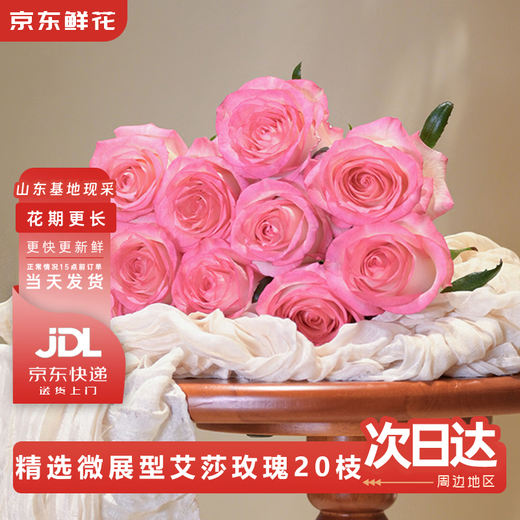 Jingdong Flowers Aisha rose 20 branches slightly spread flower type soilless cultivation home flower arrangement bouquet Shandong base direct delivery