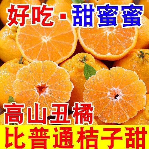 Echte Sichuan Shiranui Ugly Orange, frische Früchte der Saison, gepflückt, volle Box mit Box 10Jin Jin entspricht 0,5 kg