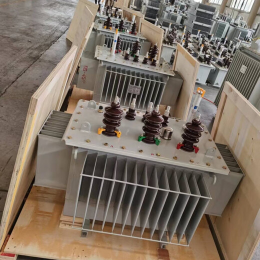 S11 immersed 10 transformer 200 high voltage power high power three phase 630 days delivery dry type s11-30