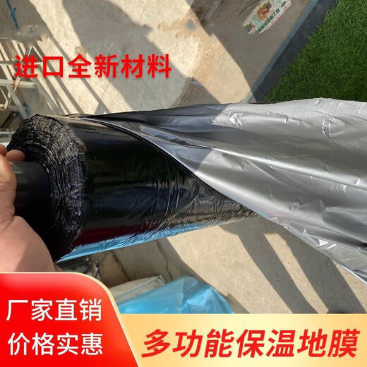 Silver and black two-color mulch film, thickened waterproof white film and black film, reflective mulch film covering weeding and moisturizing plastic film for agricultural use 10Jin Jin equals 0.5 kg 1.2 silk silver and black mulch film 0.6 meters wide