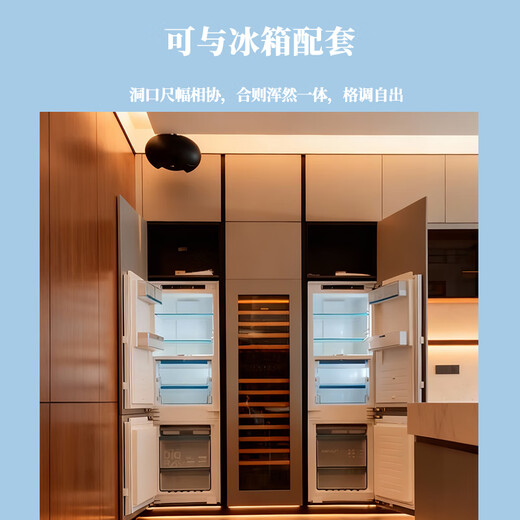 EREMITE JC308 external door embedded wine cabinet constant temperature wine cabinet inlaid household red wine storage and preservation cabinet cold drink cabinet tea cabinet cigar cabinet cigar cabinet/electric door opening 310L