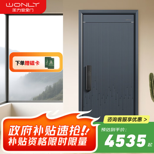 WL王力4级新款铸铝门防盗门甲级防夹手家用入户门进户门智能子母门单门大门A200 指静脉人脸带屏锁（P60Max） 单门2050*1050&2150*950