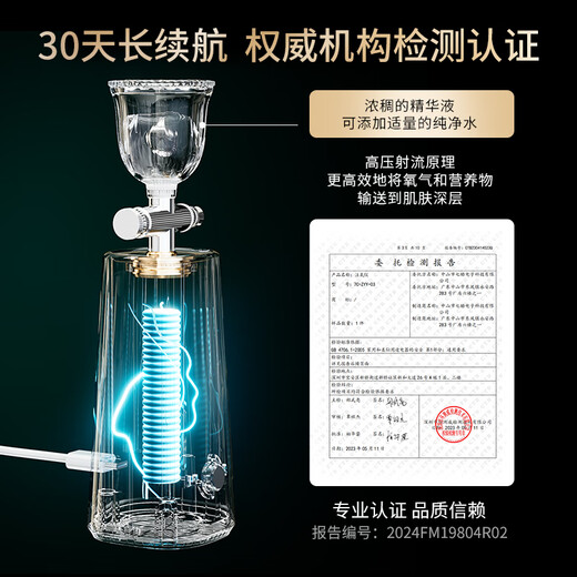 Ou Quanlin water-light high-pressure oxygen injection meter nano spray water replenishment meter household water replenisher portable handheld water oxygen meter introduction device