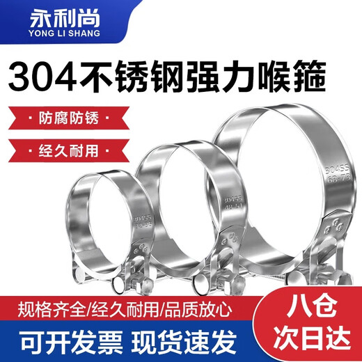 Yonglishang 304 stainless steel strong hose clamp European pipe clamp clamp fixed ring buckle water pipe clamp strong hose clamp 20-22 (2 pieces)