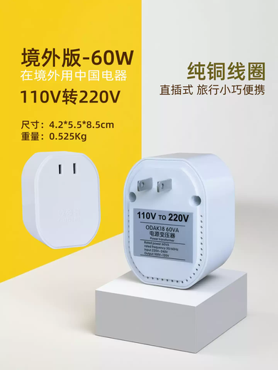 Transformer 220v to 110v power converter 100 buck Japanese 120 volt American tooth cleaner socket plug 220v to 120v domestic peak 3000w