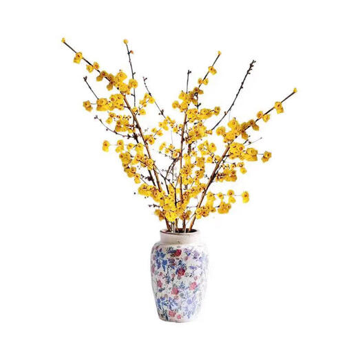 Wintersweet fresh cut flower Australian snow willow hydroponic plant indoor living room desktop New Year's Eve flower potted plant shipped with buds selected wintersweet branches 40-50 cm 4 branches + nutrient solution
