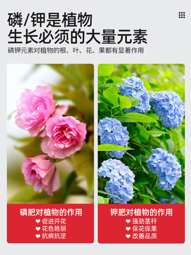 Lingwo Potassium Dihydrogen Phosphate Fertilizer Flower Special Bougainvillea Phosphate Fertilizer Household Potassium Fertilizer Flower Fertilizer Potted Plant Authentic Agricultural Explosive Potassium Dihydrogen Phosphate 500g*2 Cans + Gardening Tools Four-piece Set