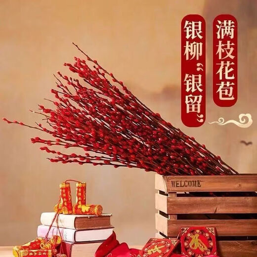Xingxiang silver willow fresh branches New Year's Eve flowers red silver willow 60cm high 30 pieces + random cards not including pots straight from the source