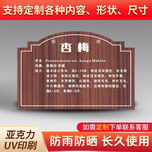 树牌挂牌植物介绍定制物业树木铭牌植树牌树木介绍标识牌亚克力 SP-35 30x20cm