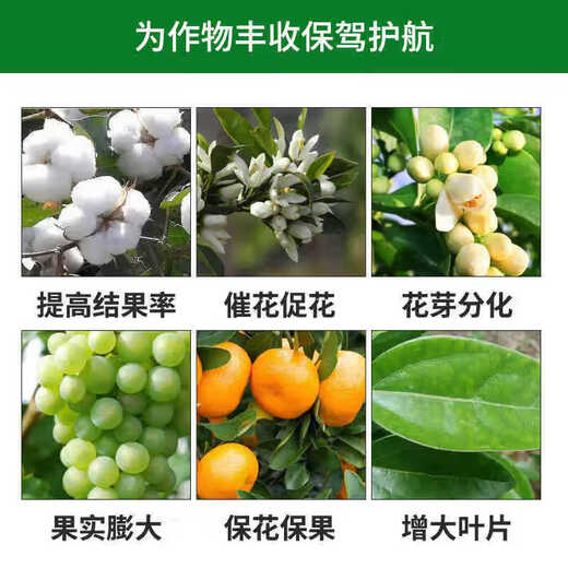 Guoguang Gibberellic Acid Citrus Grape Increases Fruit Setting Rate, Promotes Germination and Elongates Fruit Ear Growth Regulator 100ml