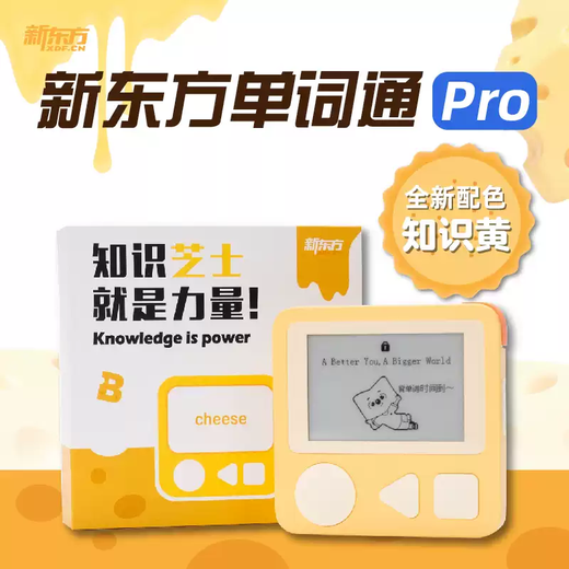 Shantou Lincun New Oriental Dictionary Pro comes with a protective case + lanyard, ink screen eye protection word machine portable, white comes with a lanyard + protective case